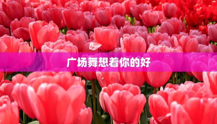 广场舞想着你的好 广场舞想着你的好