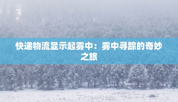 快递物流显示起雾中:雾中寻踪的奇妙之旅 快递物流显示起雾中:雾中寻踪的奇妙之旅