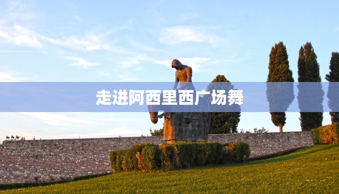 走进阿西里西广场舞 走进阿西里西广场舞