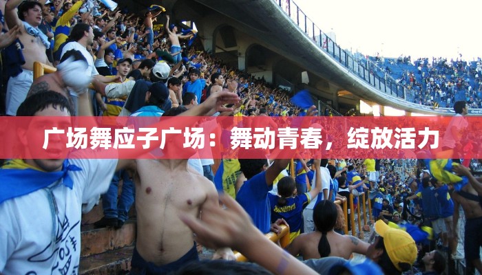 广场舞应子广场:舞动青春,绽放活力 广场舞应子广场:舞动青春,绽放活力