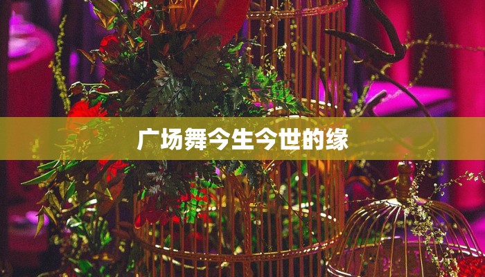 广场舞今生今世的缘