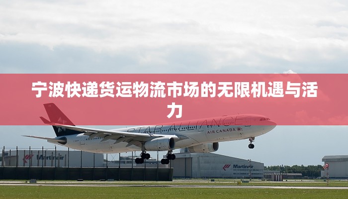宁波快递货运物流市场的无限机遇与活力