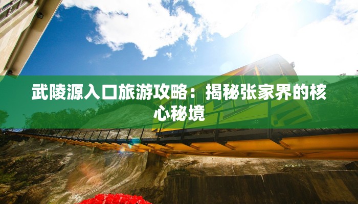 广场舞思念的山谷